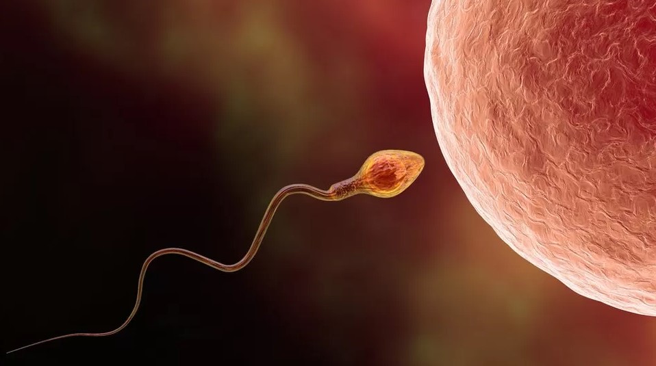 How artificial intelligence has the potential to be a useful tool in the treatment of male infertility