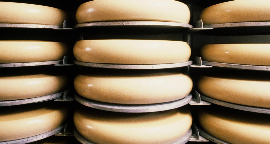 Emmentaler is the most famous cheese produced in Switzerland