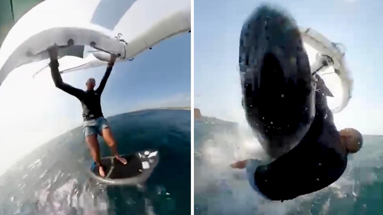 Sydney wind surfer crashes into whale: Video