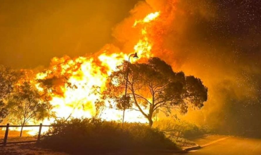 Perth, Western Australia: Tons of with out energy as life-threatening fires burn, residents urged to change off home equipment