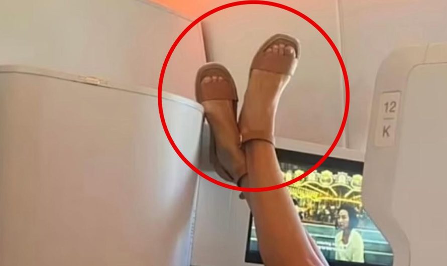Lady’s act in enterprise class flight to Fiji divides social media