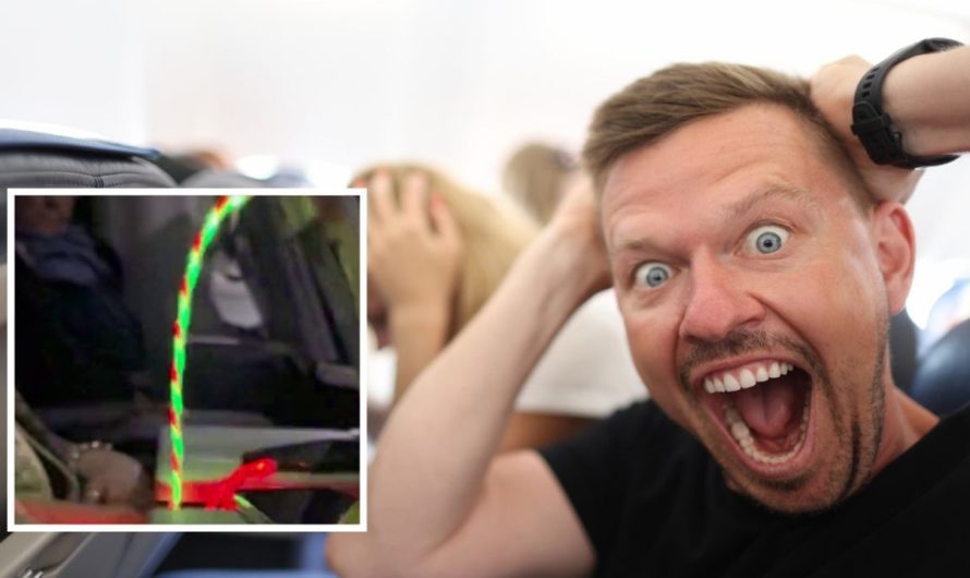 Is that this probably the most obnoxious machine ever? ‘Egocentric’ girl disrupts in a single day flight