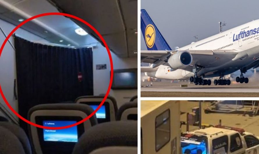 Passenger dies mid-flight after ‘litres of blood’ spurts from face