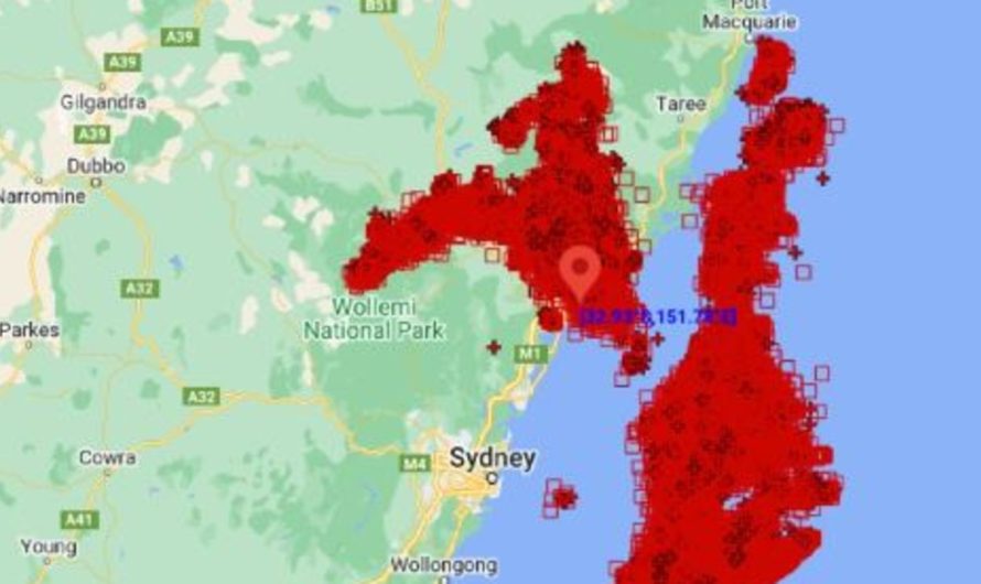 Climate Sydney: 4 injured in lightning strike as storms hit the town