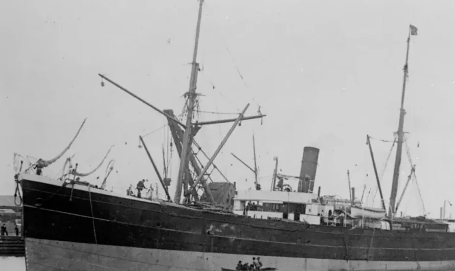Shipwreck from 102 years in the past with 32 crew members on board discovered