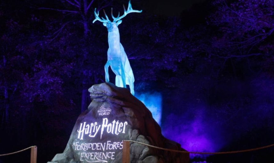 Harry Potter occasion booted out of Aussie park