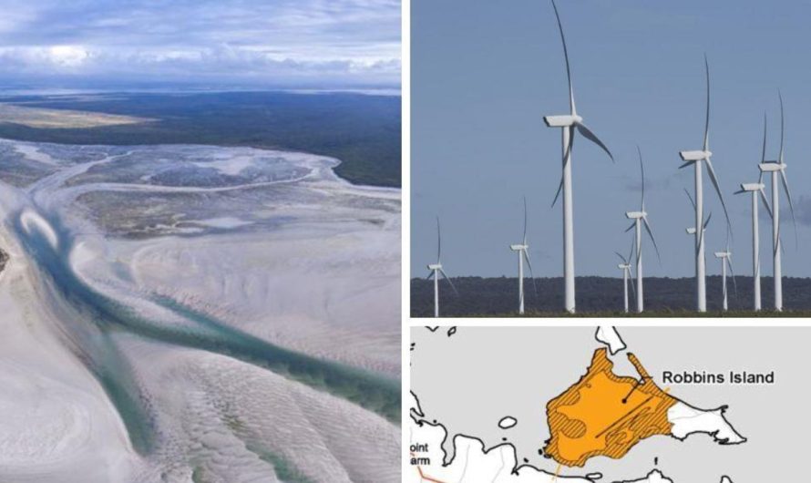 $1.6 billion ‘mega’ Robbins Island windfarm below menace over Tasmanian satan considerations