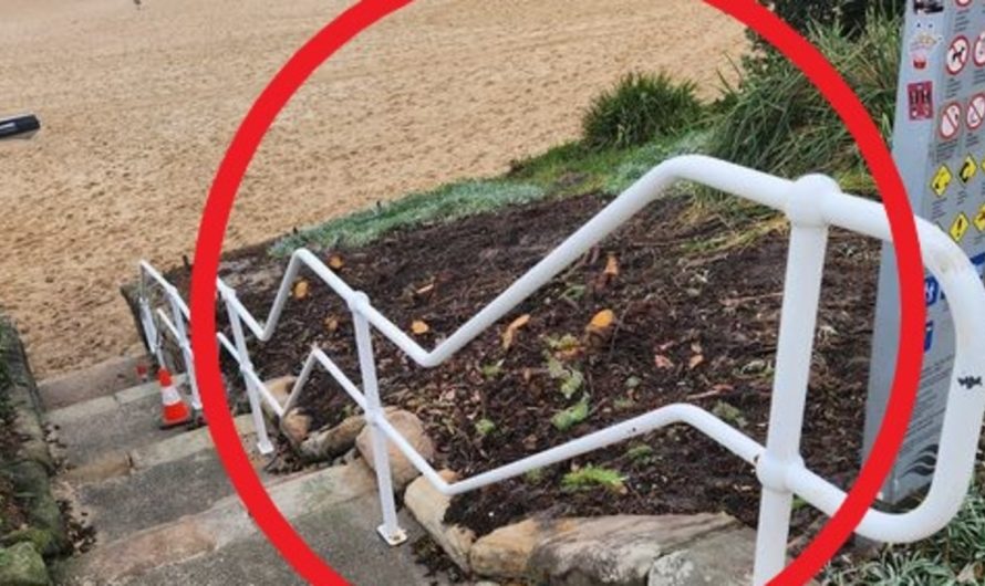 Randwick Metropolis Council reveals reality behind removing of woolly bush close to iconic Coogee Seaside artwork undertaking amid Fb fury