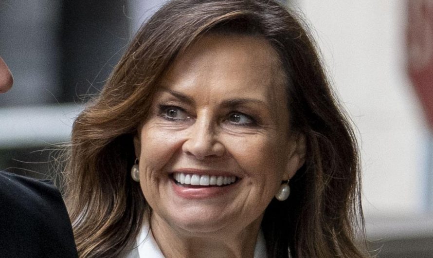 Lisa Wilkinson battles to have authorized charges in Bruce Lehrmann case paid by Community 10