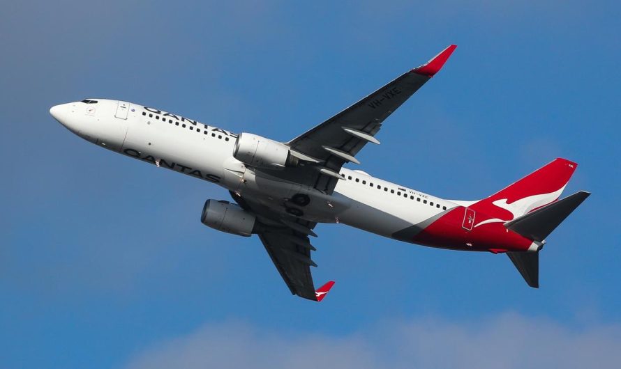 Transport Employees Union made $1 million bid to Qantas earlier than 1700 employees illegally sacked