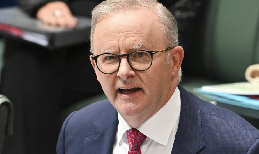 Anthony Albanese to announce $1bn program to construct extra photo voltaic regionally