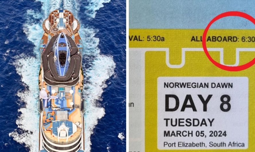 ‘Ridiculous’: Norwegian Cruise Traces act sparks enormous debate