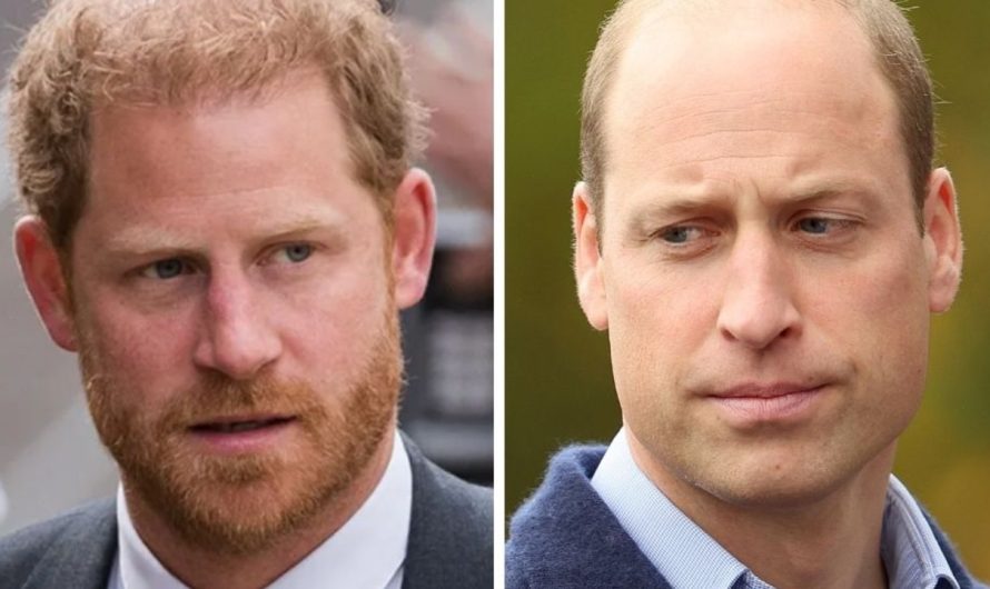 Prince Harry, Prince William: Plan for brothers to fulfill subsequent month being thought-about, can be ‘awkward’