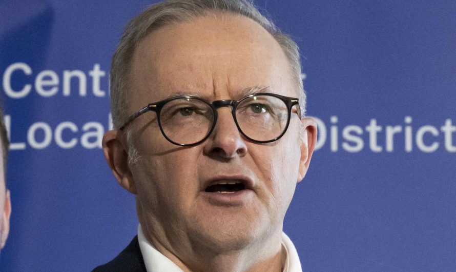 Anthony Albanese accuses Coalition of hiding key particulars on nuclear coverage