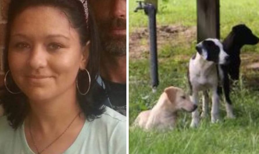 Mum brutally killed by 13 canines in vicious mauling