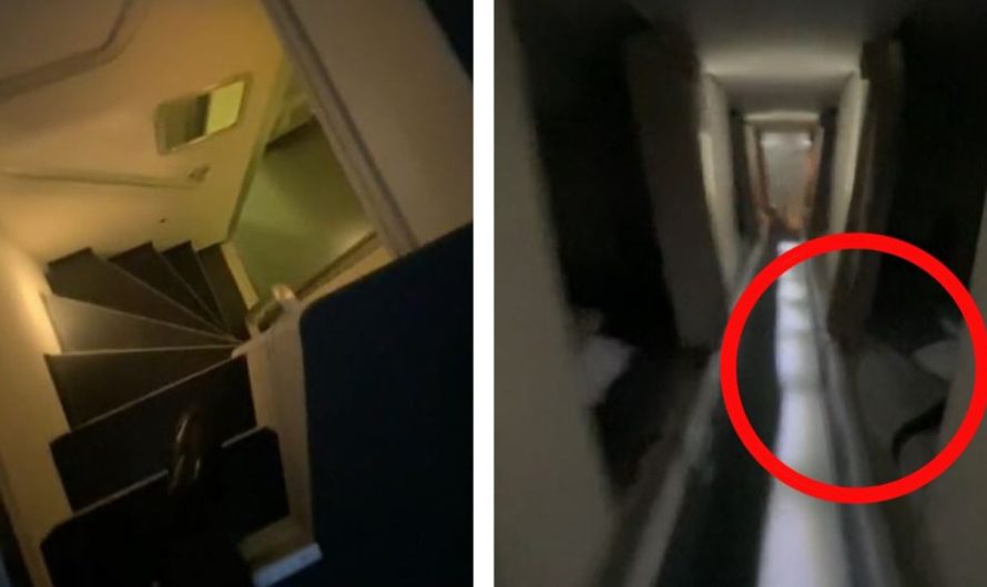 Emirates flight attendant reveals swanky secret chamber the place crew members calm down throughout long-haul flights