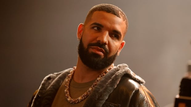 Why does Drake have so many corporations?