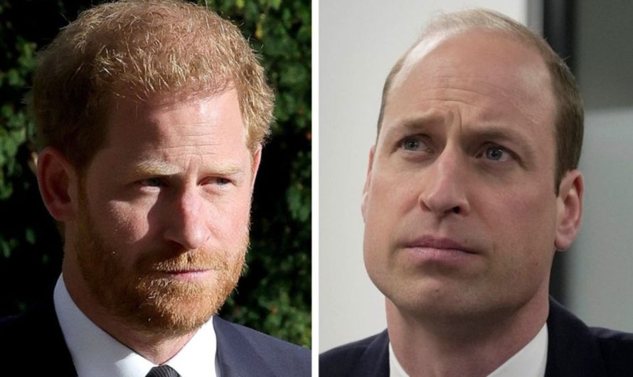 Prince Harry, Prince William: ‘Extremely unhappy’ state of affairs looms