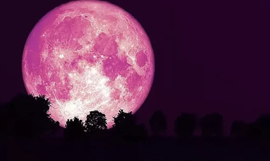 What number of days will the Strawberry Moon of 2024 be seen for?