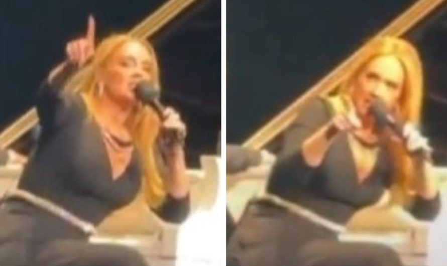 Adele loses it on stage: ‘Are you f**king silly?’