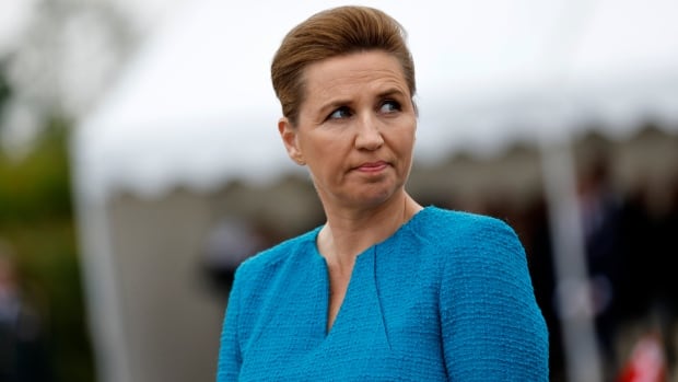 Danish PM assaulted in Copenhagen, suspect arrested