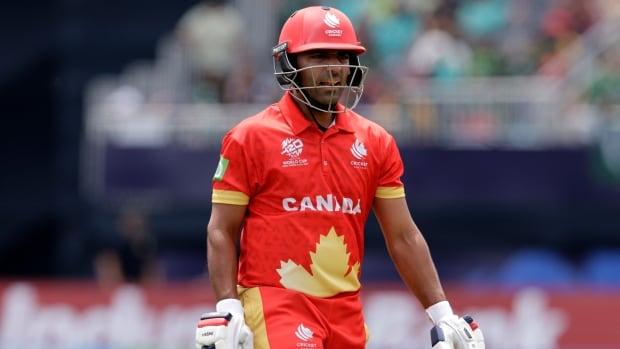 Canadian cricketers be part of marquee names from overseas for GT20 Canada competitors