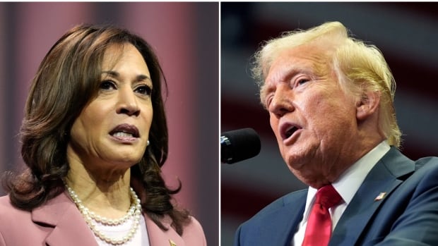 Trump pulls out of ABC debate with Harris, proposes Fox Information venue as a substitute